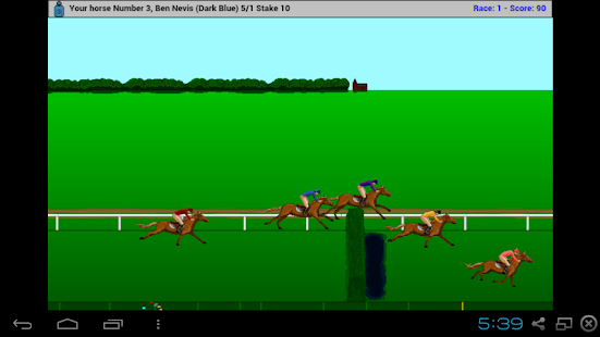  Steeplechase Horse Racing  