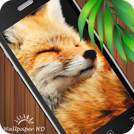 Fox Wallpaper HD LOGO-APP點子