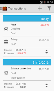 ViZi Budget Pro - screenshot thumbnail