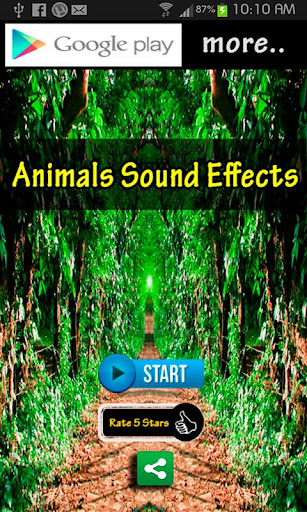 Animals Sound Effects