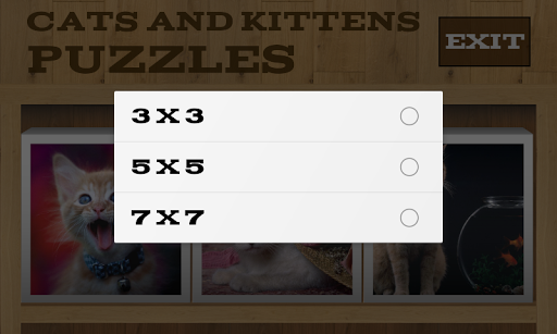 免費下載解謎APP|Cats and Kittens Puzzles app開箱文|APP開箱王