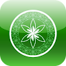 Holistic Heights Application icon