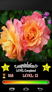 How to install Puzzle Flowers 1.1 unlimited apk for laptop