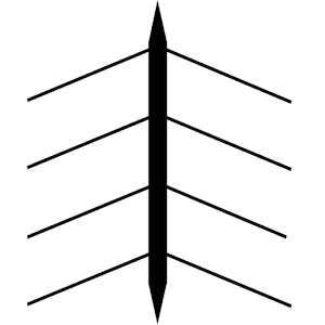 Rowing Calculator.apk 1.0