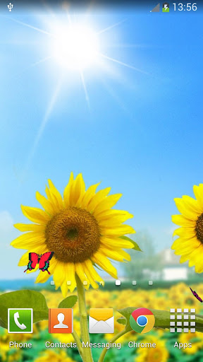 Sunflowers Live Wallpaper