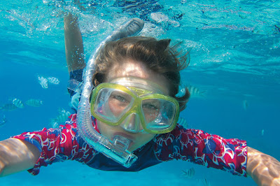 Get up close with nature while snorkeing on a Paul Gauguin cruise.