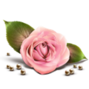Feliz Día Madre Widget 1.02