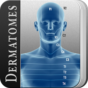 Dermatome Nerve Distribution logo