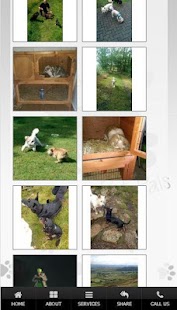 Free Merlins Pets APK for PC