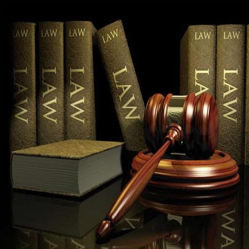 Naija Law School