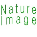 NatureImage logo