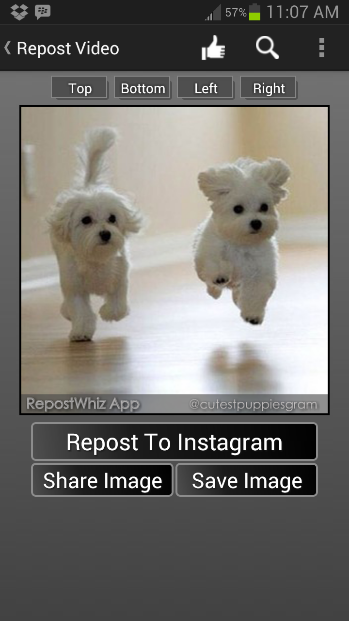 RepostWhiz Repost Videos Photo Screen 3