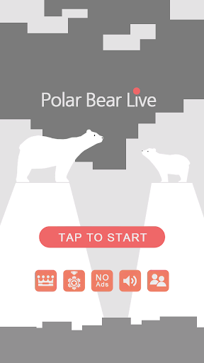 Polar Bear Live