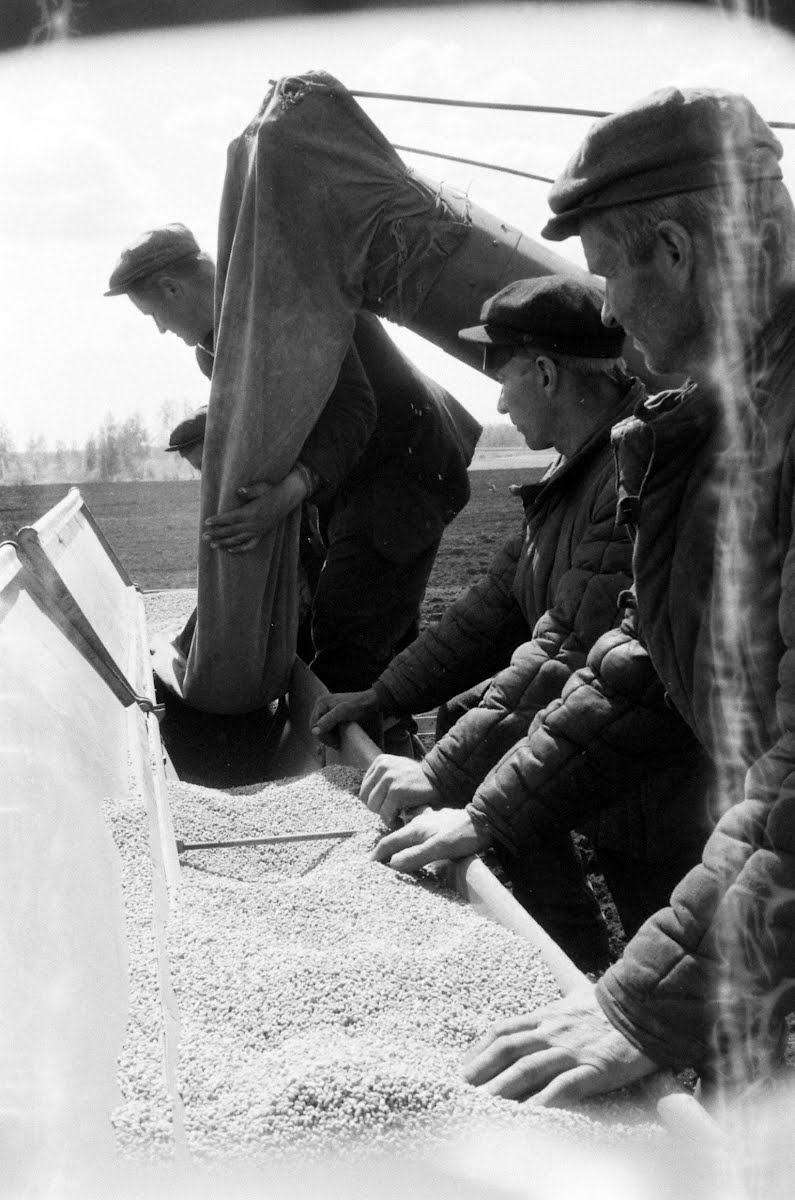 Soviet Union Virgin Lands "Breadbasket" Story Filmed In Area Of