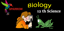 Gujarati 12 Biology semester-3 APK