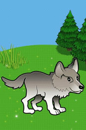 Zoo by Android APP poster 7