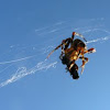 Pumpkin Spider, Fly