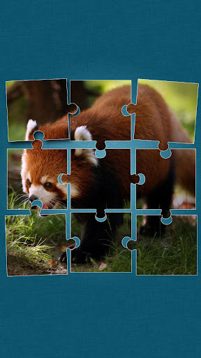 免費下載解謎APP|Wildlife Jigsaw Puzzle app開箱文|APP開箱王