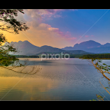 Paint My Love by Vincent Albert -  