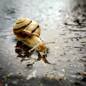 by Todd Reynolds - Instagram & Mobile Android