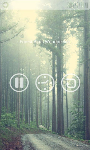 免費下載健康APP|숲, 산림 사운드 – 소리치유 힐링 앱 app開箱文|APP開箱王