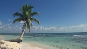 Beach Live Wallpaper For Pc : Https Encrypted Tbn0 Gstatic Com Images Q Tbn And9gcqesveazskp34o5pyzhojtyby8klxjhpcnzxqe50d45iod9dqck Usqp Cau : Tons of awesome beach backgrounds for desktop to download for free.