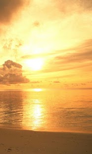 Download Evening surf live wallpaper APK for Android