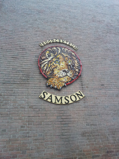 Wall Art Samson