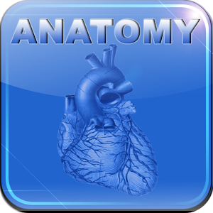 Human Anatomy II logo