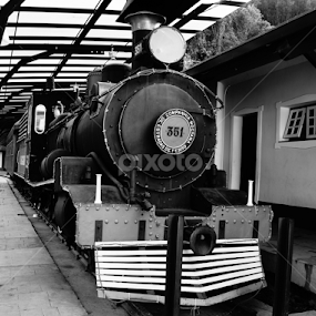 All aboard by Andre Salomão Brito Mattos - Transportation Trains