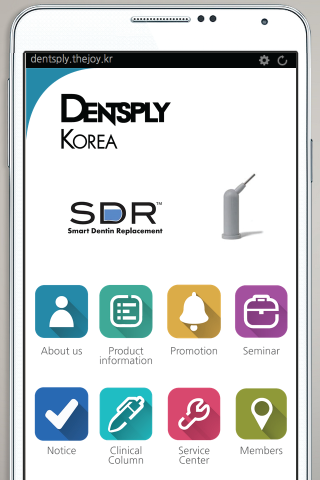 덴츠플라이 Dentsply 치과