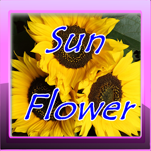 Frame and Text on Photo 1.4