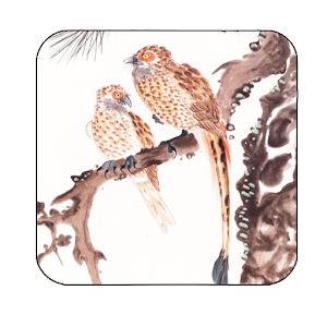 bird pine inkwash wallpaper 1.0