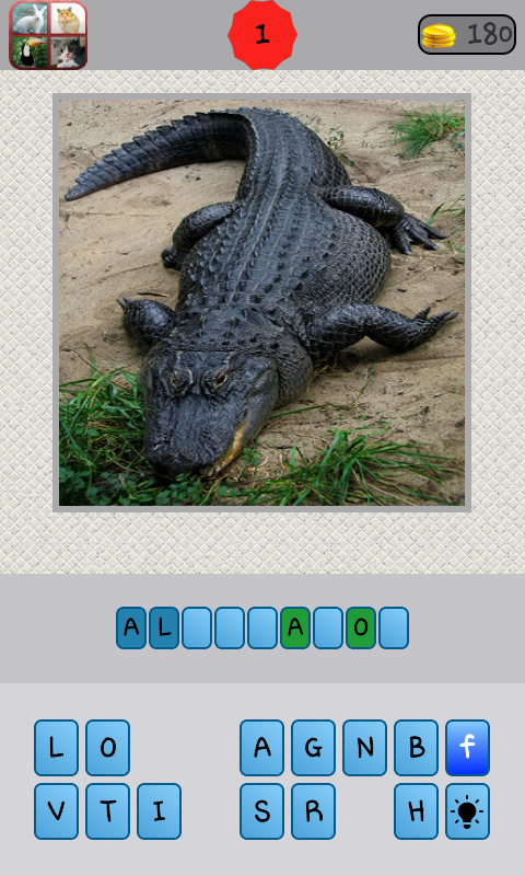 Animals Quiz Screen 3