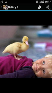 Funny Picture Ideas Screenshots 8