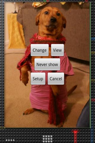 Photo Gallery Widget v5.0