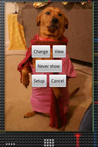 Photo Gallery Widget Screen 1
