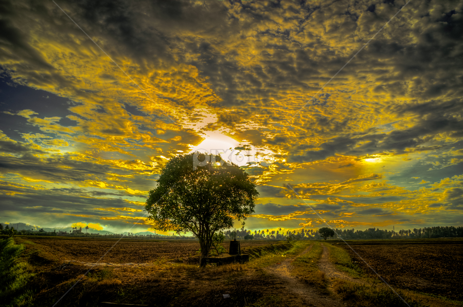 by Mohamad Subri Mohd Noor - Landscapes Cloud Formations