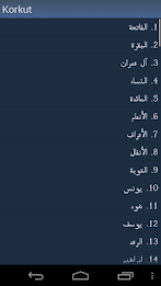 Kur'an na bosanskom poster 2