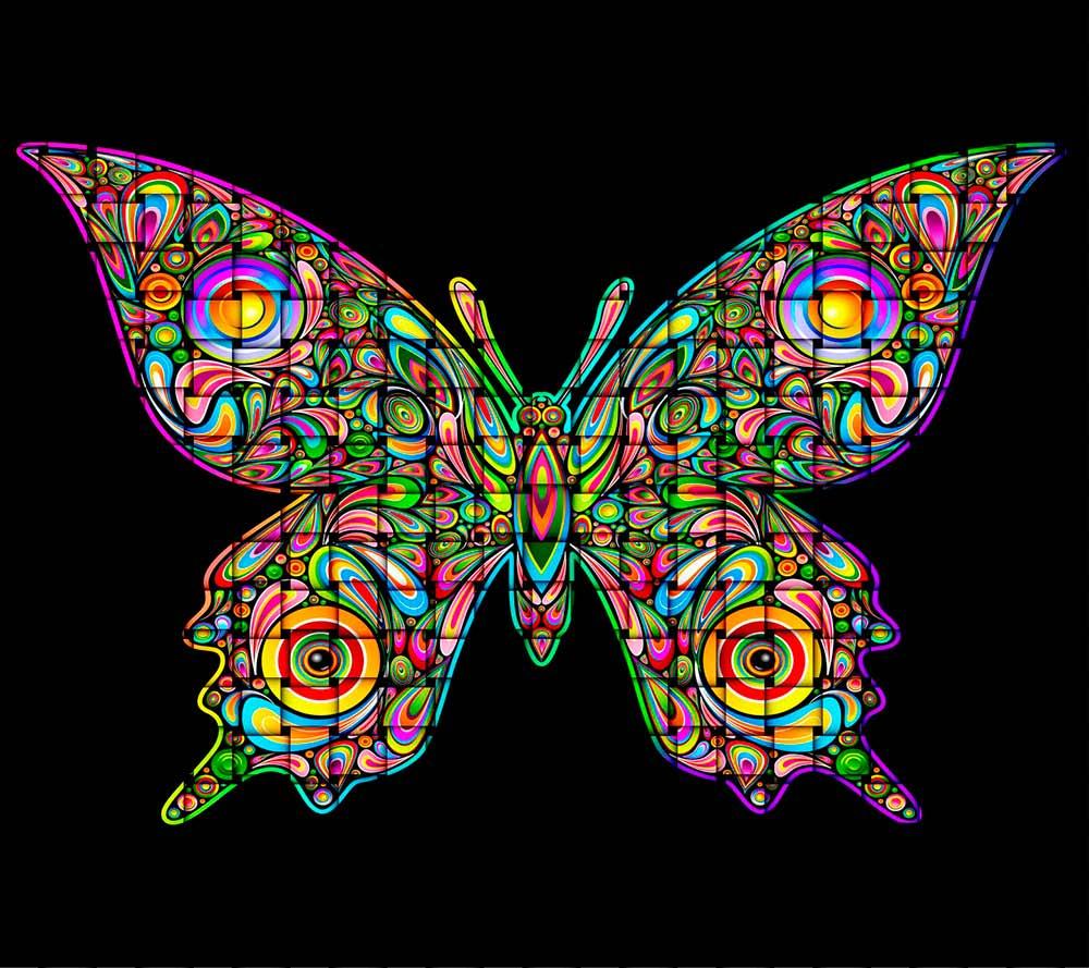 Butterflies Images Wallpapers - Android Apps on Google Play