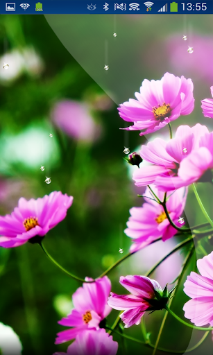 Spring Flowers 3d Live WP