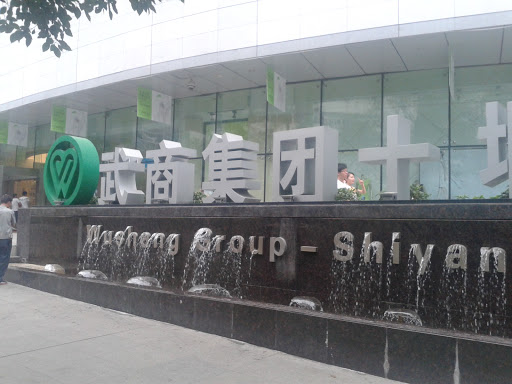 Wushang Group
