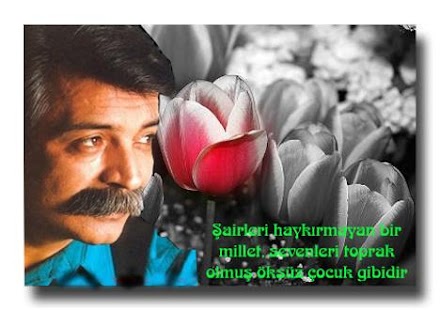 How to download Ozan Arif Şiirleri 1.0 apk for laptop