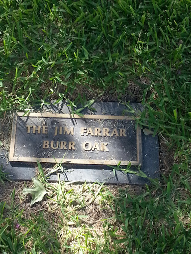 Jim Farr Oak Dedication 