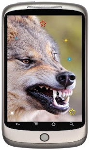 Free Wolf live wallpaper Screenshots 2