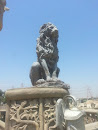 Lions Gate