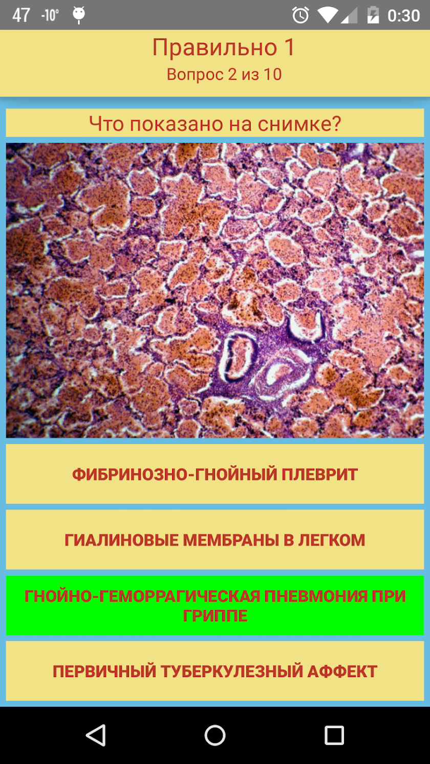 Патология Screen 3