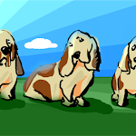Lost dogs