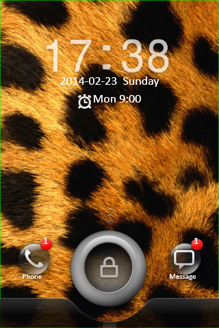 Leopard Go Locker Theme - screenshot