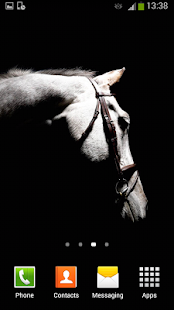 Lastest Horses Live Wallpaper APK for Android